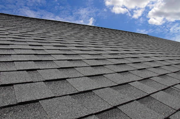 Best Roof Maintenance and Cleaning  in Dixon, IL