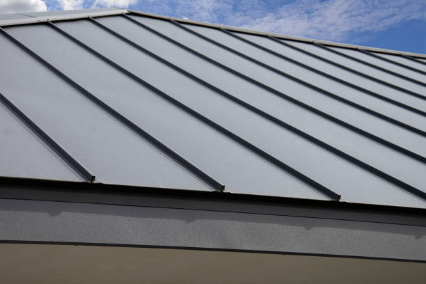 Best Green or Eco-Friendly Roofing Solutions  in Dixon, IL